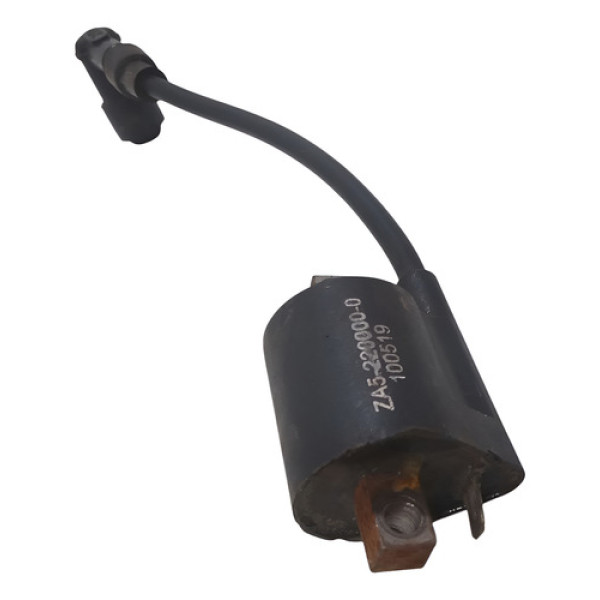 Bobina Ignição Dafra Zig 100 2009 2010 2011 2012 2013 2014