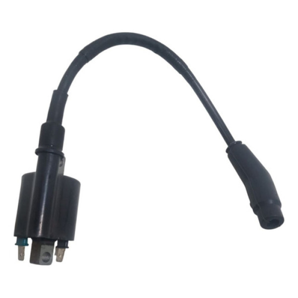 Bobina De Pulso Titan 160 2025