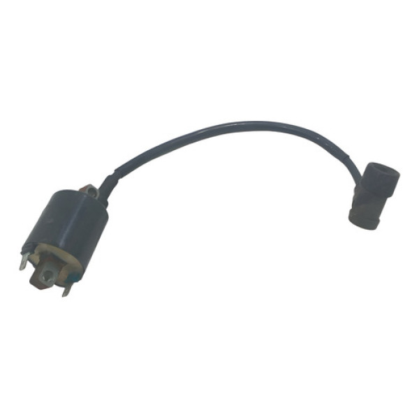 Bobina Ignição Titan 125 2000 2001 2002 2003 2004 2005 2008